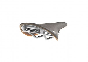 Brooks Cambium C15 Limited Edition