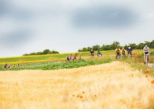 Wein, Bike und...: Fünf Jahre „In Velo Veritas“