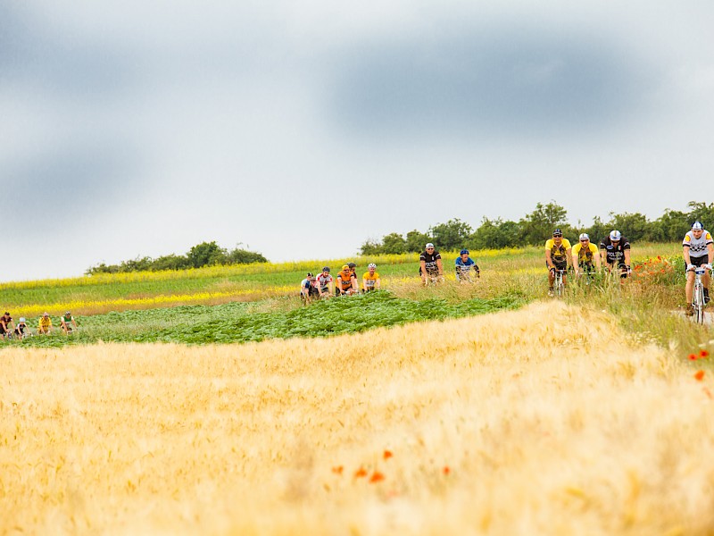 Wein, Bike und...: Fünf Jahre „In Velo Veritas“